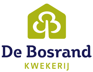 Bosrand