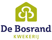 Bosrand